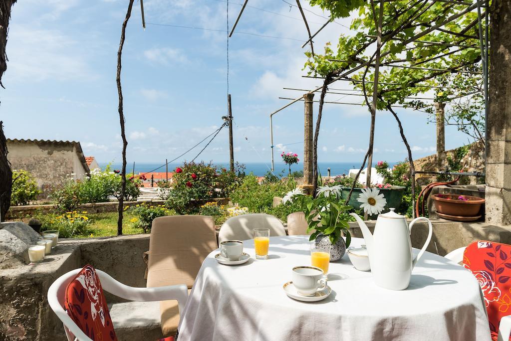 House Verde - Private House With Seaview Dubrovnik Room photo